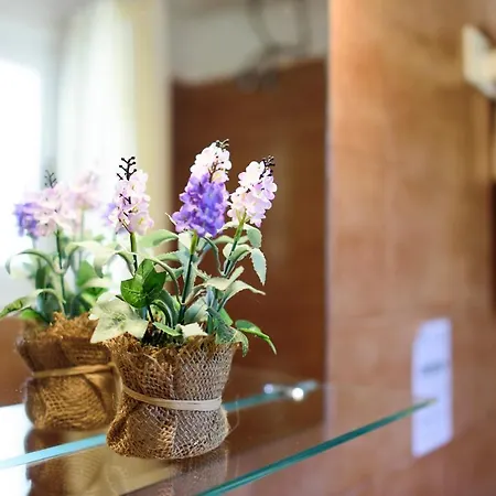 Апартаменты Mother's House In Syros Aegean Sea *