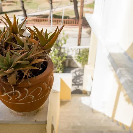 Mother's House In Syros Aegean Sea Apartamento