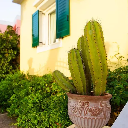 Mother's House In Syros Aegean Sea Apartamento Posidhonía